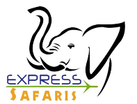 Express Safaris